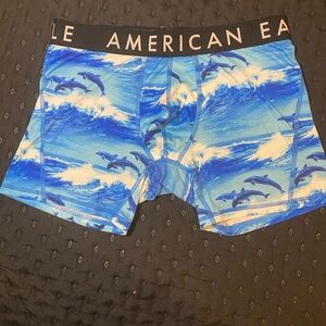 AEO Solid 6" Flex Boxer Brief